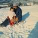 Photo Number 8